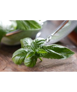 al62, foglie di basilico