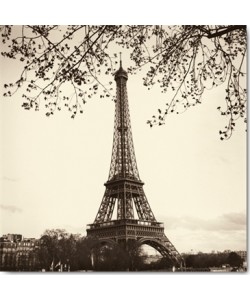 Alan Blaustein, Tour Eiffel