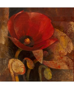 Albena Hristova, Poppy Reflection