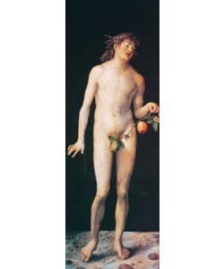 Albrecht Dürer, Adam