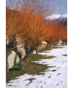 Alexander Koester, Weiden in der Wintersonne