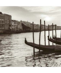 Alan Blaustein, Campo di Salute Venezia