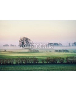 AlexanderLrs, Knicklandschaft