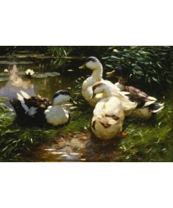 Alexander Koester, Enten am Seerosenteich