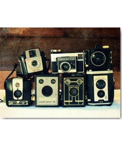 Robin Dickinson, Vintage Camera Collection