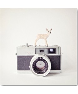 Susannah Tucker Photography, Deer & Vintage Camera
