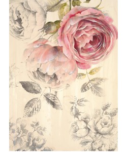Stefania Ferri, Ethereal Roses 1