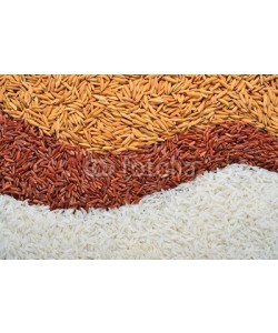 amenic181, rice in each milling step ( three kinds of rice)