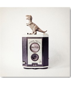 Susannah Tucker Photography, T-Rex & Vintage Camera