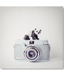 Susannah Tucker Photography, Panda & Vintage Camera