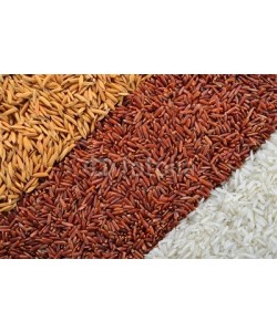 amenic181, rice in each milling step ( three kinds of rice)