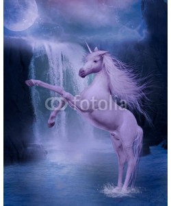 Ancello, last unicorn