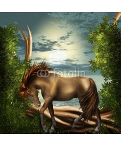 Ancello, pferd im mondenschein