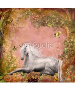 Ancello, pferd im wald