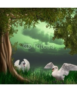 Ancello, schwanensee