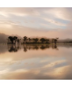 Andy Mumford, Dawn Mist on the Amazon