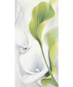 Annette Schmucker, Calla II