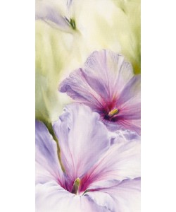 Annette Schmucker, Hibiscus