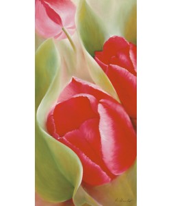 Annette Schmucker, Tulpen I