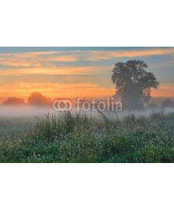 Anton Petrus, Misty dawn autumn morning