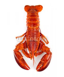 Antonio Gravante, Red lobster