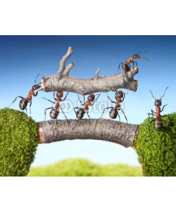 Antrey, team of ants carry log on bridge, teamwork