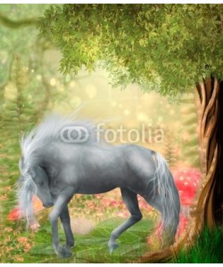 Ancello, pferd im märchenwald