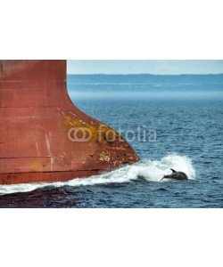 Andrea Izzotti, dolphin jumping over ship prow