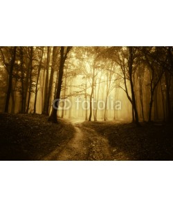 andreiuc88, horror scene with a road through golden forest with dark trees