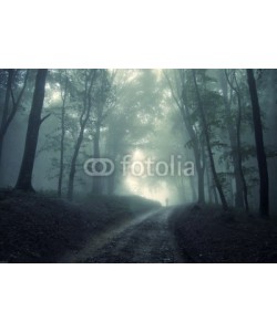 andreiuc88, man walking in a green forest with fog