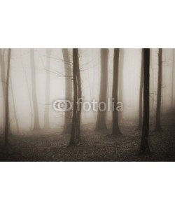 andreiuc88, mysterious forest with fog in sepia and dark trees