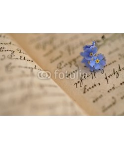 Andreja Donko, Forget-me-not on Diary