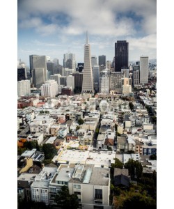 Andrew Bayda, View of San Francisco, USA