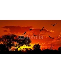 Anna Omelchenko, Landscape of Africa with warm sunset