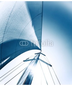 Anna Omelchenko, Sail background