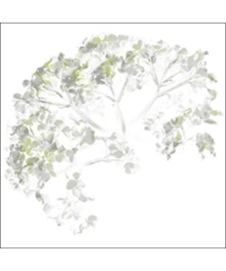 Anne MONTIEL, Viburnum, 2006
