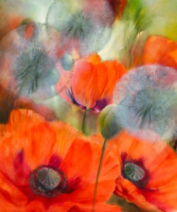 Annette Schmucker, Mohn und Pustelblumen