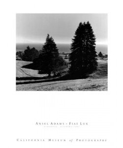 Ansel Adams, Pinetrees