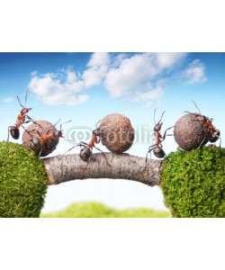Antrey, team of ants rolling stones on bridge, teamwork