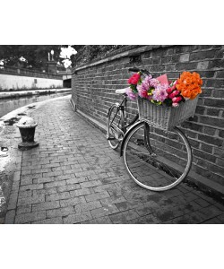 Assaf Frank, Bicycle of Love I