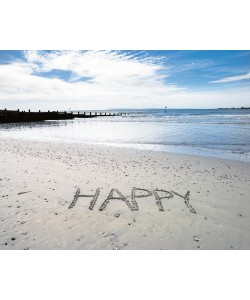 Assaf Frank, Happy