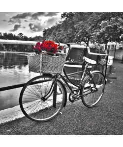 Assaf Frank, Romantic Roses I