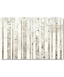 Avery Tillmon, Birch Trees on White