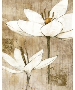 Avery Tillmon, Pencil Floral I