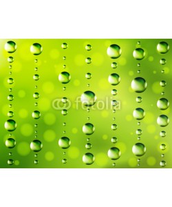 Ayvengo, Abstract dew green background