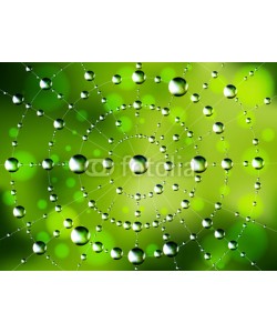 Ayvengo, Abstract spider web with dew drops