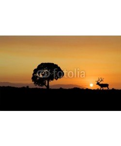 AZP Worldwide, Elk Silhouette