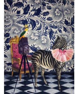 Erika C. Brothers, Picture Day