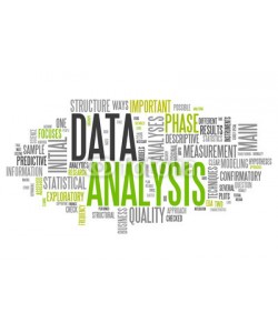 Ben Chams, Word Cloud Data Analysis