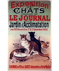 Roedel, Exposition De Chats